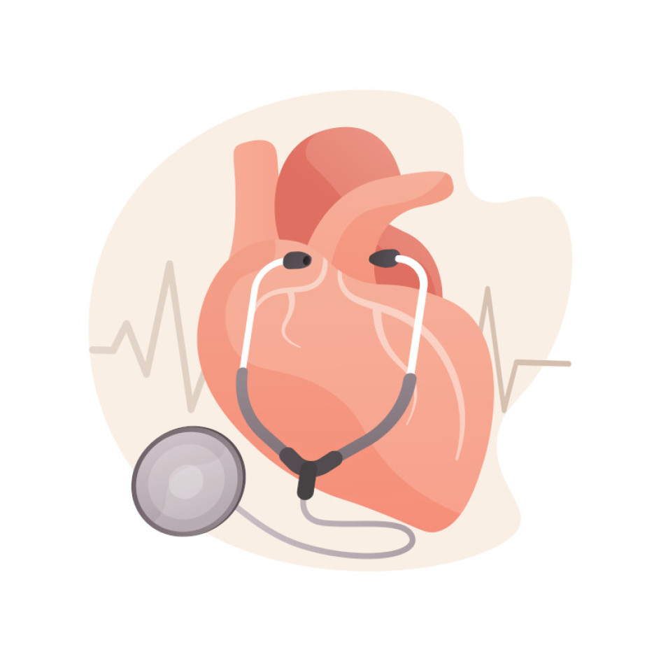 Salud cardiovascular Corazón