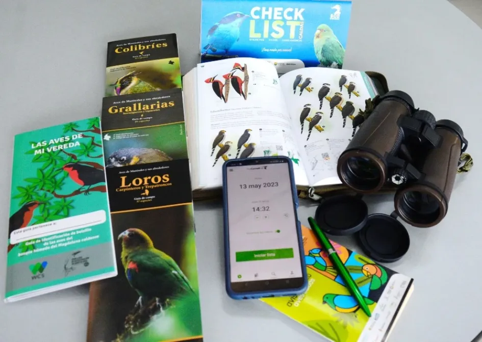 Binoculares, guías de aves, libretas de campo y la aplicación eBird son herramientas para pajarear. Binoculares, guías de aves, libretas de campo y la aplicación eBird son herramientas para pajarear.