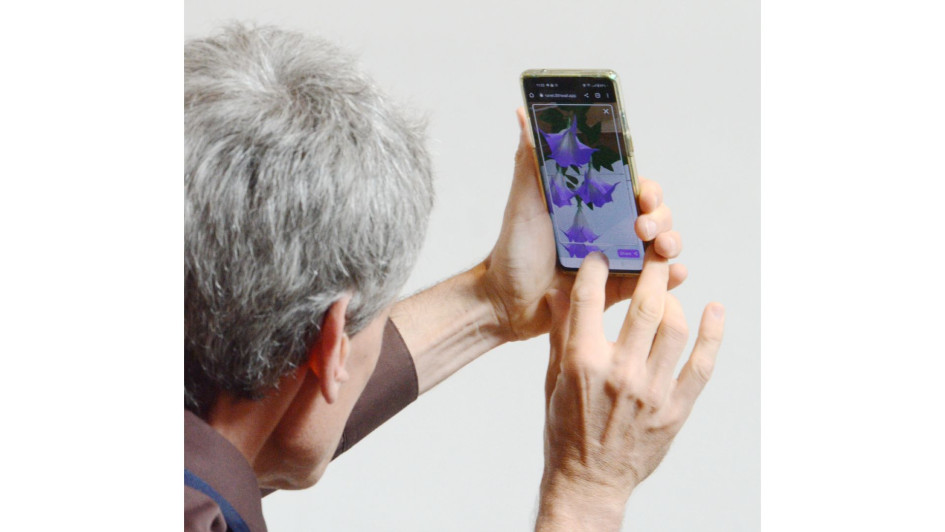 Fabian Winkler ingresa a la aplicación para crear su propio jardín. Fabian Winkler ingresa a la aplicación para crear su propio jardín.