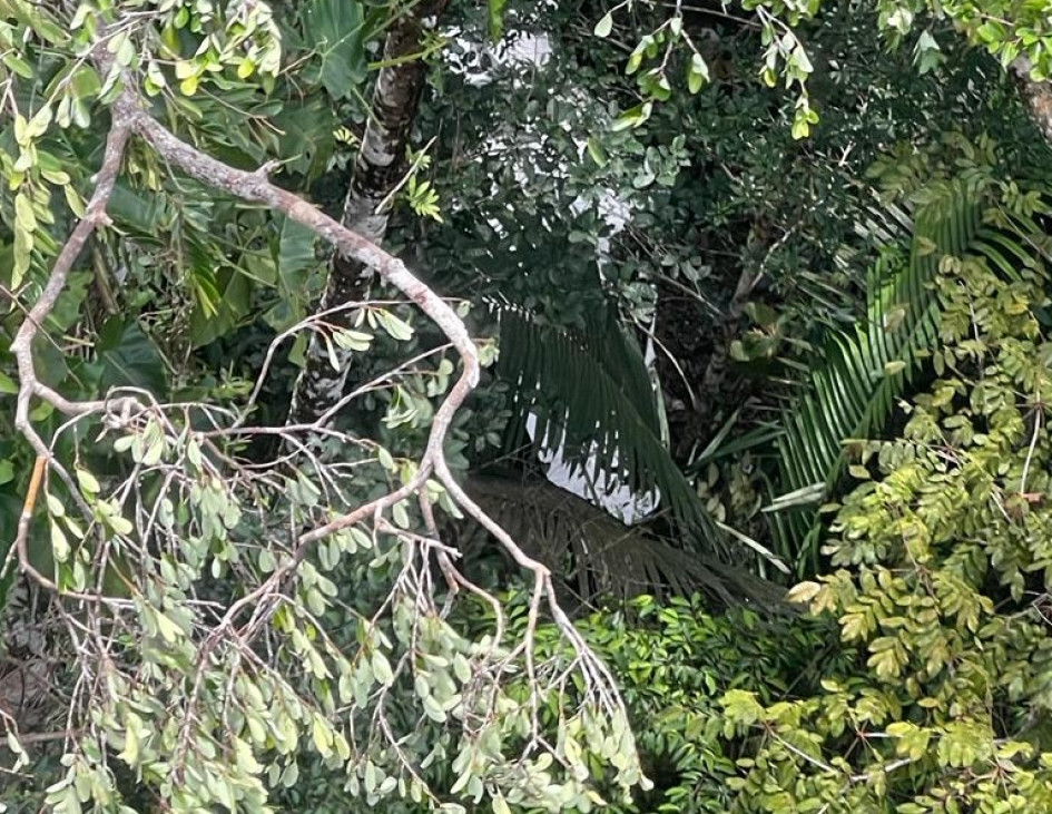 Esta es la zona en donde cayó la avioneta. Esta es la zona en donde cayó la avioneta.