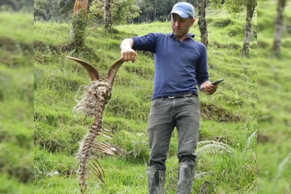 Luis Eduardo Ríos Velásquez Luis Eduardo Ríos Velásquez, propietario de la finca Las Cruces en la vereda La Candelaria (Salamina)