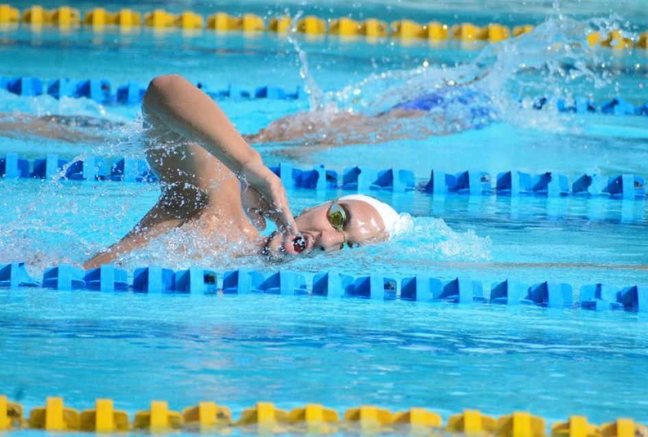 El conversatorio con la Selección Colombia de Natación se desarrollará este martes a las 10 de la mañana en el Hotel Benidorm de Manizales. El conversatorio con la Selección Colombia de Natación se desarrollará este martes a las 10 de la mañana en el Hotel Benidorm de Manizales.
