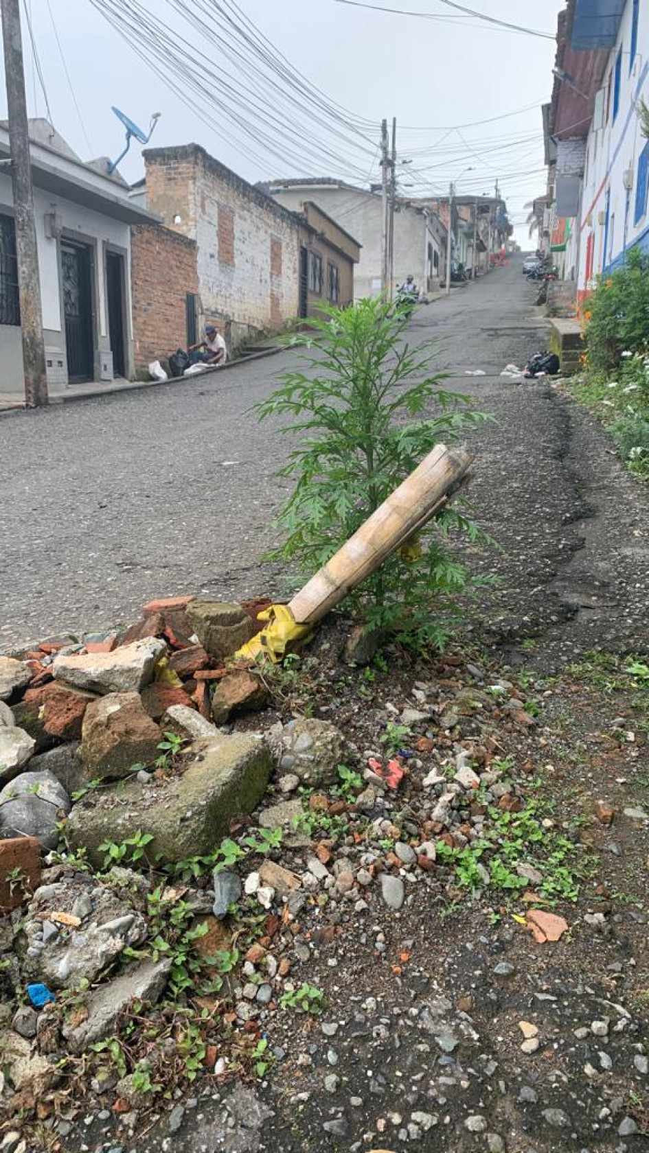 Este es el hueco de la vía que taparon con materiales y en el que crecen plantas. La ciudadanía solicita reparo. Foto Albeiro Rudas Este es el hueco de la vía que taparon con materiales y en el que crecen plantas. La ciudadanía solicita reparo. Foto Albeiro Rudas