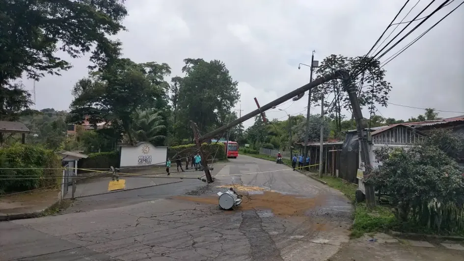 El sitio donde se cayó el árbol. El sitio donde se cayó el árbol.