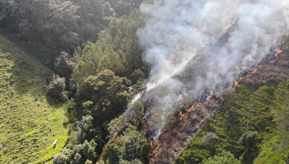 El miércoles los organismos de socorro de Pensilvania con apoyo de Defensa Civil y Cruz Roja controlaron un incendio de cobertura vegetal, en zona rural del sector la Arenera, en dónde el fuego amenazaba con consumir la franja natural de una fuente hídrica. El miércoles los organismos de socorro de Pensilvania con apoyo de Defensa Civil y Cruz Roja controlaron un incendio de cobertura vegetal, en zona rural del sector la Arenera, en dónde el fuego amenazaba con consumir la franja natural de una fuente hídrica.