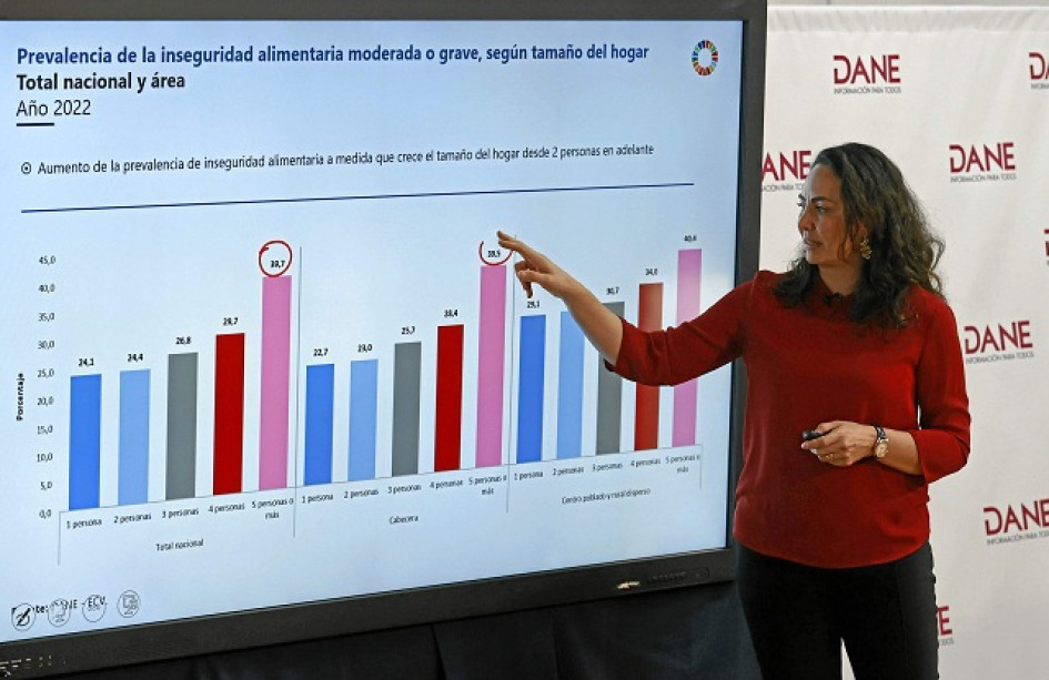 La directora del DANE, Piedad Urdinola, destacó que la inseguridad alimentaria grave o moderada debería "motivar la reflexión en el país". La directora del DANE, Piedad Urdinola, destacó que la inseguridad alimentaria grave o moderada debería "motivar la reflexión en el país".
