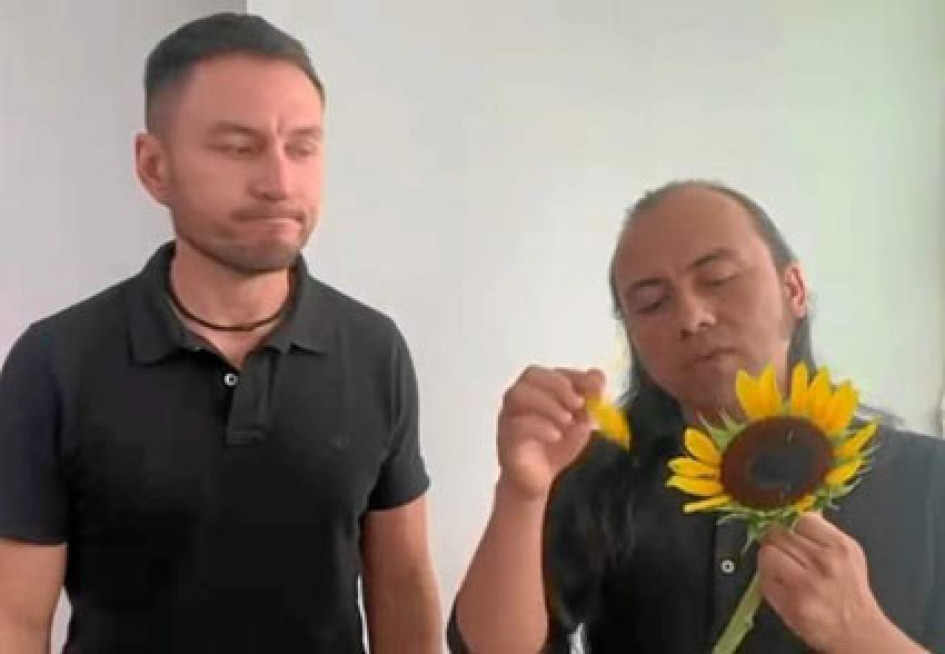 Supimos que: Les marchitaron el girasol Supimos que: Les marchitaron el girasol