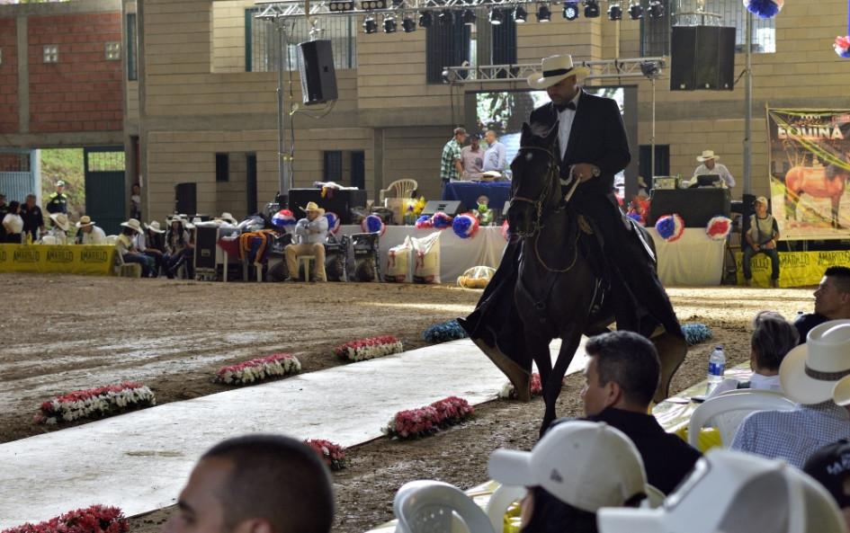 En la Exposición Equina se juzgaron las modalidades de trote y galope, trocha pura y paso fino colombiano. En la Exposición Equina se juzgaron las modalidades de trote y galope, trocha pura y paso fino colombiano.