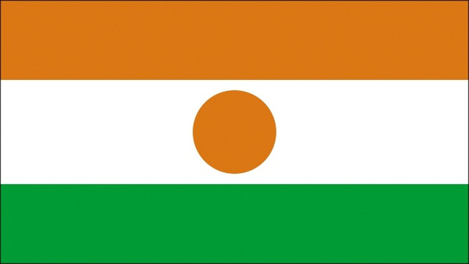Bandera de Níger, país ubicado en el África occidental. Bandera de Níger, país ubicado en el África occidental.