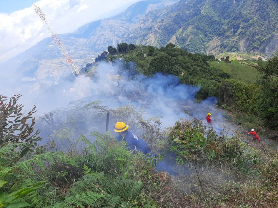 Unas tres hectáreas resultaron afectadas por el fuego. Unas tres hectáreas resultaron afectadas por el fuego.