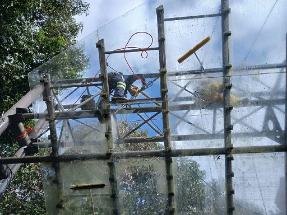 Hasta abejas, en la acústica Foto | Cortesía para LA PATRIA Hasta abejas, en la acústica Foto | Cortesía para LA PATRIA