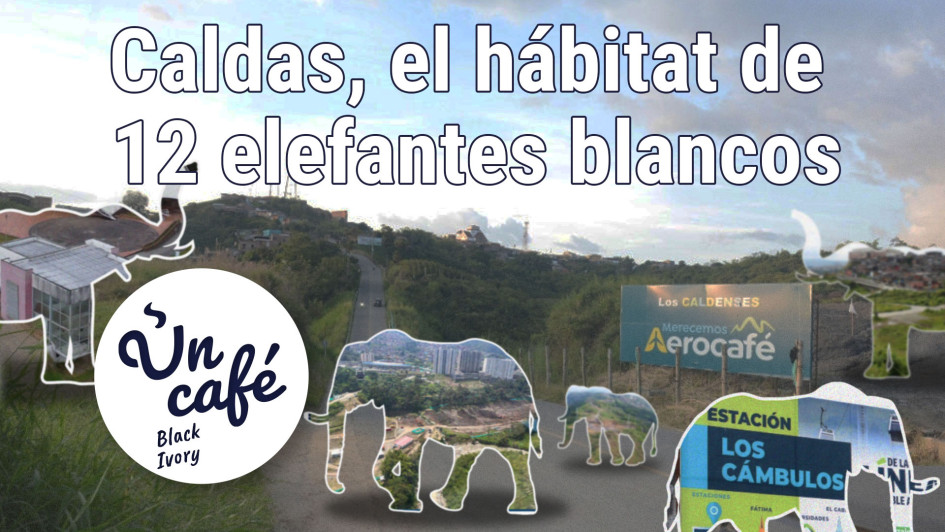 Los costosos elefantes blancos de Caldas, enumerados en Un Café Black Ivory Los costosos elefantes blancos de Caldas, enumerados en Un Café Black Ivory