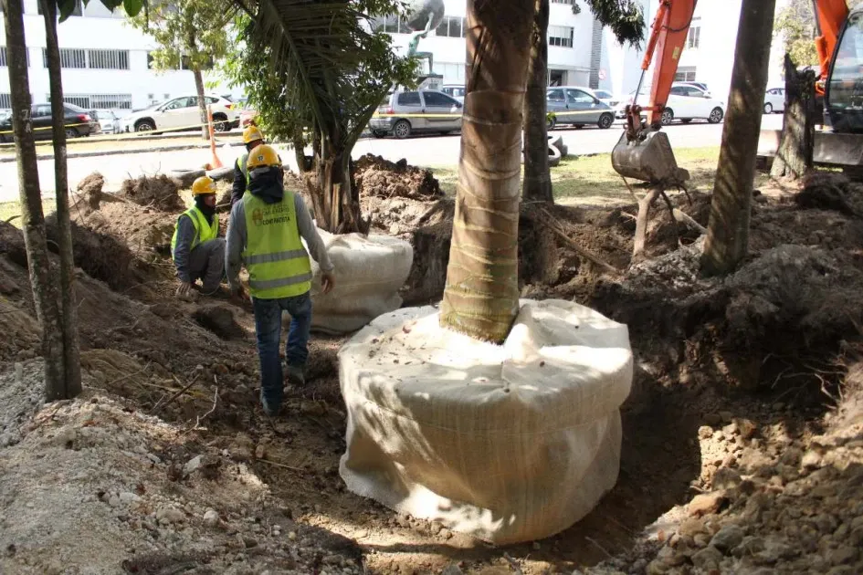 Así lucen las obras de la Línea Tres del Cable Aéreo en el Parque La Gotera. Fotos | Luis Trejos | LA PATRIA Así lucen las obras de la Línea Tres del Cable Aéreo en el Parque La Gotera.