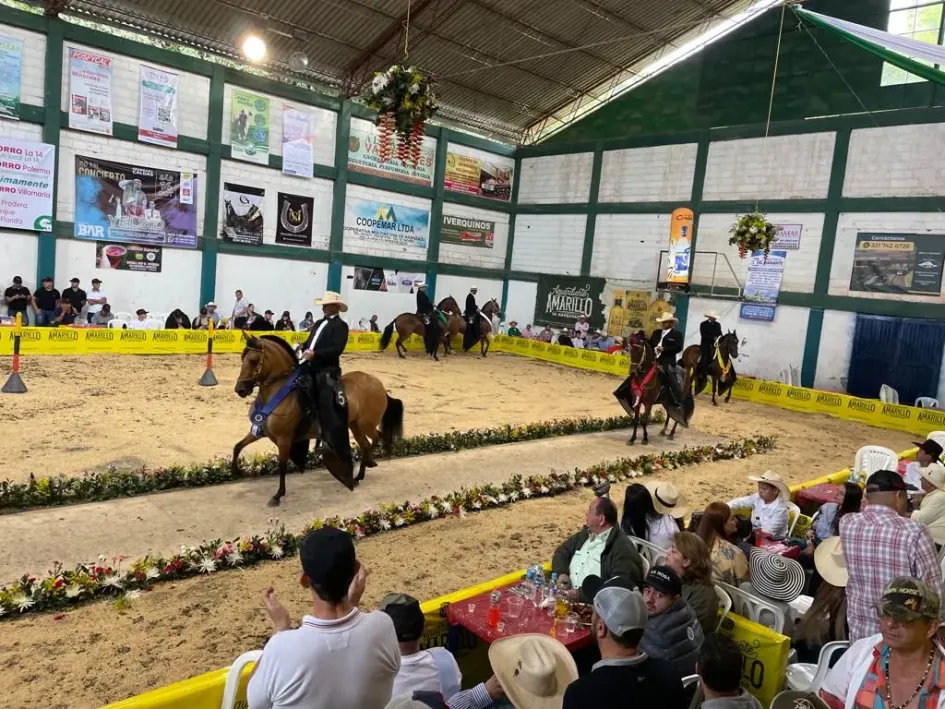 Los caballos y sus jinetes en acción. Los caballos y sus jinetes en acción.