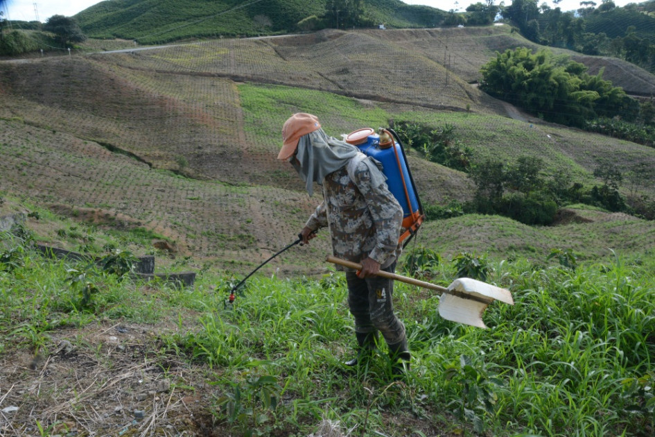 Aunque Colombia produce el café más suave del mundo, esa alta demanda internacional conlleva a que se exporte casi en su totalidad. Sin embargo, marcas como Juan Valdez y Buencafé Liofilizado garantizan una bebida con sabor nacional. Aunque Colombia produce el café más suave del mundo, esa alta demanda internacional conlleva a que se exporte casi en su totalidad. Sin embargo, marcas como Juan Valdez y Buencafé Liofilizado garantizan una bebida con sabor nacional.