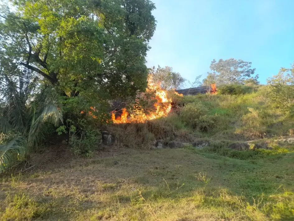 Un foco del incendio en Purnio (La Dorada). Un foco del incendio en Purnio (La Dorada).