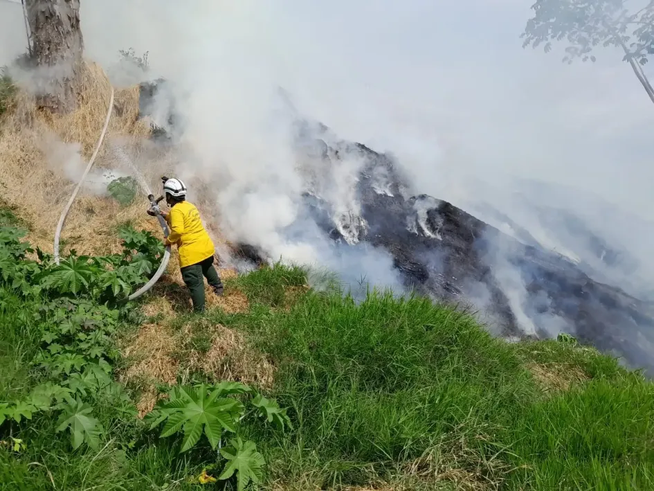 La zona donde se produjo el incendio forestal este jueves en Villamaría. La zona donde se produjo el incendio forestal este jueves en Villamaría.