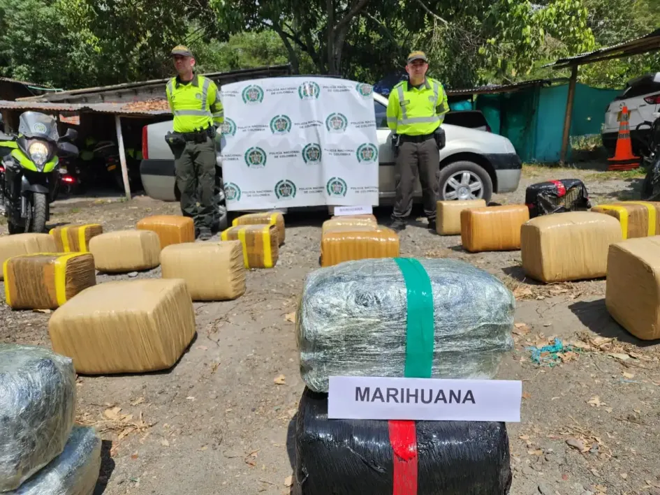 La marihuana incautada. La marihuana incautada.