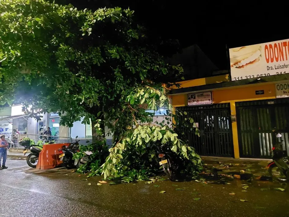 Caída de árboles por fuerte aguacero en La Dorada. Caída de árboles por fuerte aguacero en La Dorada.