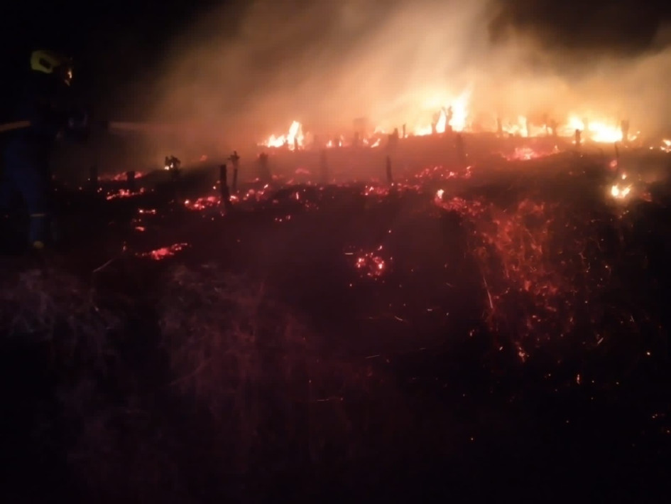 El incendio de cobertura vegetal en la vereda La Paz de San José (Caldas) afectó un cultivo de café. No dejó personas lesionadas. El incendio de cobertura vegetal en la vereda La Paz de San José (Caldas) afectó un cultivo de café. No dejó personas lesionadas.