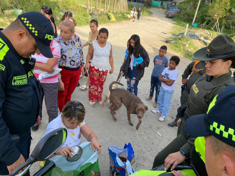 La jornada se desarrolló este sábado en la comuna Ciudadela del Norte de la capital de Caldas y benefició a 50 animales. La jornada se desarrolló este sábado en la comuna Ciudadela del Norte de la capital de Caldas y benefició a 50 animales.