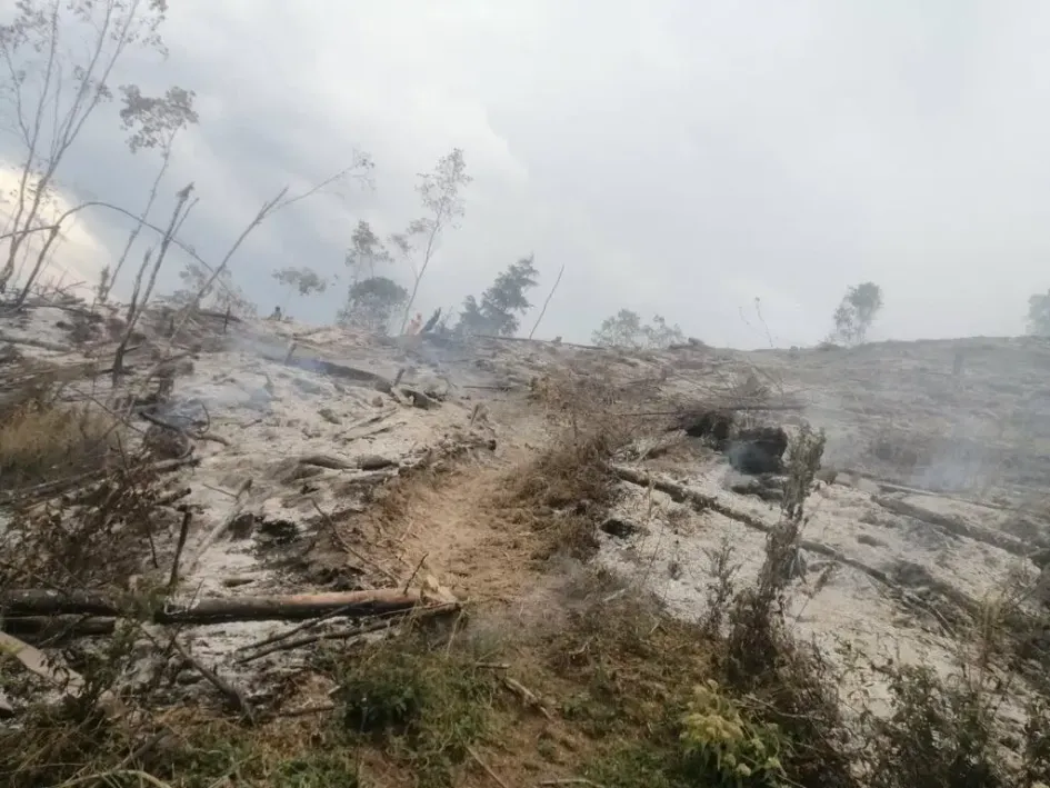 Así quedaron los terrenos de la finca Termopilas, en Aranzazu, tras el incendio forestal. Así quedaron los terrenos de la finca Termopilas, en Aranzazu, tras el incendio forestal.