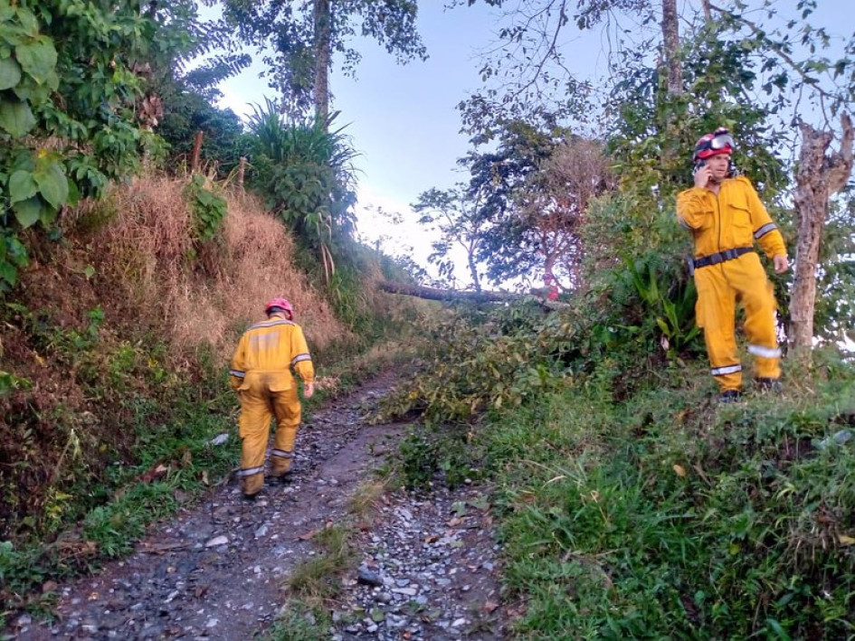 Caída de árboles por fuertes lluvias de este miércoles Caída de árboles por fuertes lluvias de este miércoles