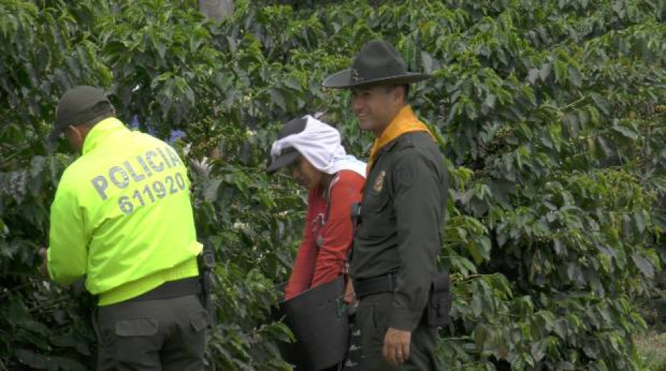Seguridad en el campo. Seguridad en el campo.