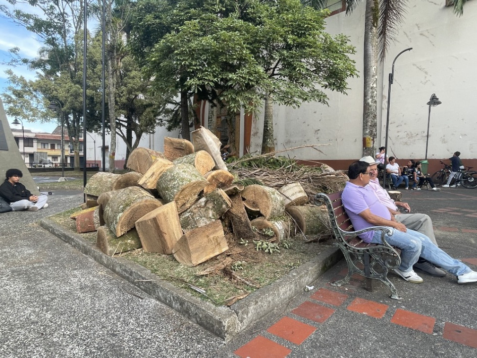 Buscaban refugio en las sombras que daban las palmas, pero ya no está. Buscaban refugio en las sombras que daban las palmas, pero ya no está.