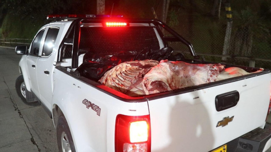 Carne de cerdo Salud