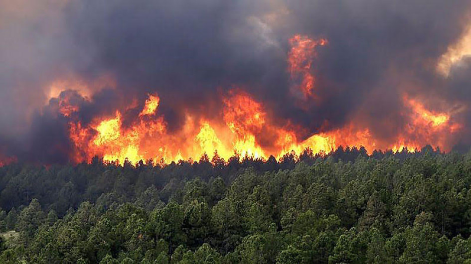 Fotografía de archivo de un incendio en la selva del Amazonas en Colombia. Fotografía de archivo de un incendio en la selva del Amazonas en Colombia.