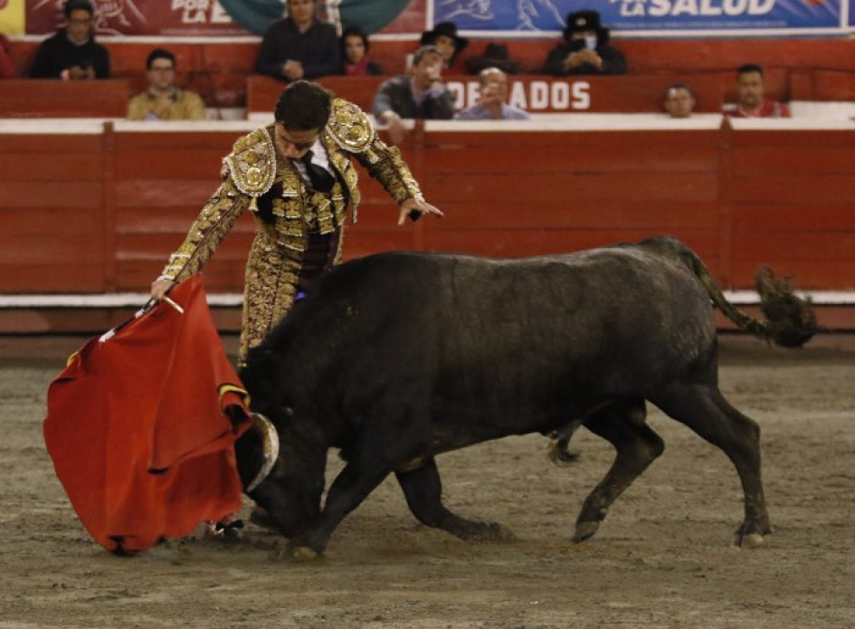 Los interesados en asistir a la XXIV Temporada de Toros y Ciudad ya pueden reclamar las boletas en las taquillas de la Plaza de Toros, entre las 9:00 a.m y 5:00 p.m. Los interesados en asistir a la XXIV Temporada de Toros y Ciudad ya pueden reclamar las boletas en las taquillas de la Plaza de Toros, entre las 9:00 a.m y 5:00 p.m.