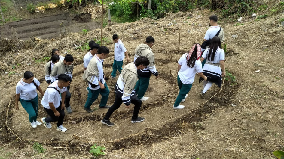 Estudiantes de la Institución Educativa Miguel Antonio Caro, de la vereda Cuchilla del Salado (Manizales) trabajan en su proyecto 'Espiral de los Aromas'. Estudiantes de la Institución Educativa Miguel Antonio Caro, de la vereda Cuchilla del Salado (Manizales) trabajan en su proyecto 'Espiral de los Aromas'.