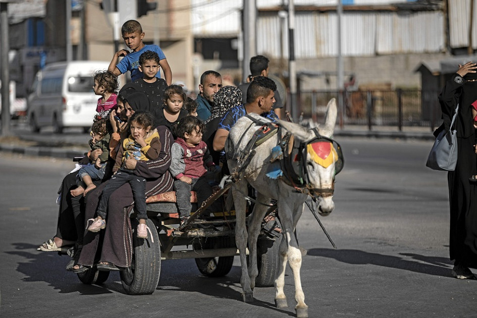 Los carros tirados por burros o los mismos burros son ahora la única alternativa de transporte en Gaza. Los carros tirados por burros o los mismos burros son ahora la única alternativa de transporte en Gaza.