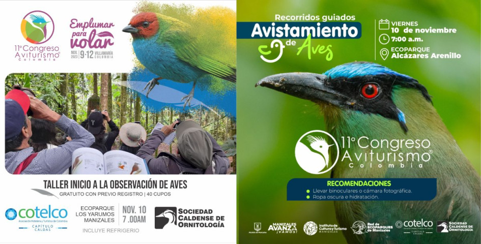 Dos actividades para aprender sobre observación aves en los ecoparques de Manizales Dos actividades para aprender sobre observación aves en los ecoparques de Manizales