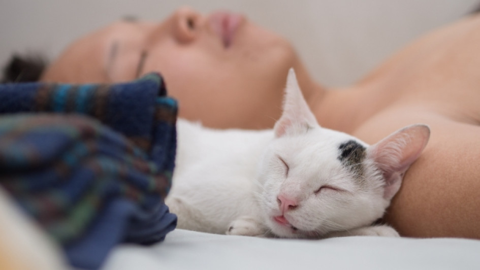 Es-malo-dormir-con-gatos Un hombre y un gato durmiendo en la misma cama