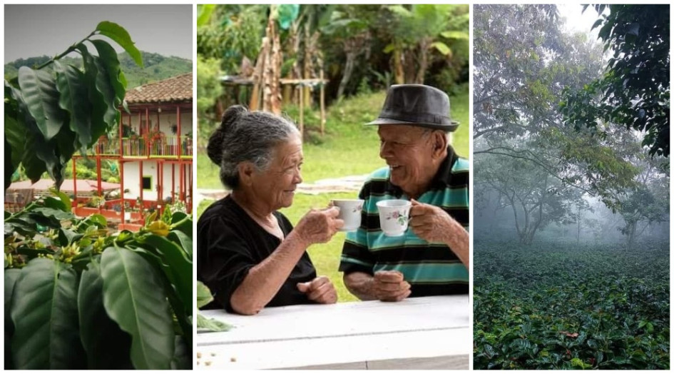 Estas fueron las tres fotos ganadoras en el concurso. Estas fueron las tres fotos ganadoras en el concurso.