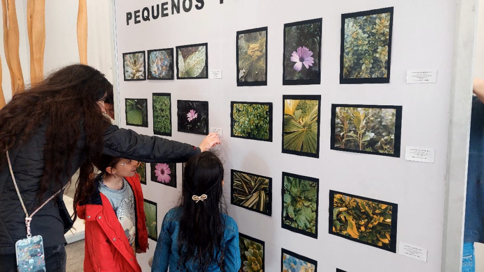 El resultado de la exposición Pequeños fotógrafos estará el resto de noviembre en el primer piso del Banco de la República. El resultado de la exposición Pequeños fotógrafos estará el resto de noviembre en el primer piso del Banco de la República.