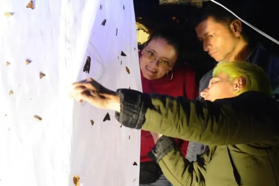 El viernes, de 8:00 p.m. a 10:00 p.m., hay jornada de observación de polillas en el Monumento a los Colonizadores. El viernes, de 8:00 p.m. a 10:00 p.m., hay jornada de observación de polillas en el Monumento a los Colonizadores.