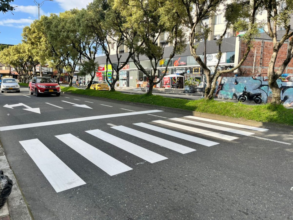 La cebra amaneció pintada en la avenida Santander de Mainzales. La cebra amaneció pintada en la avenida Santander de Mainzales.