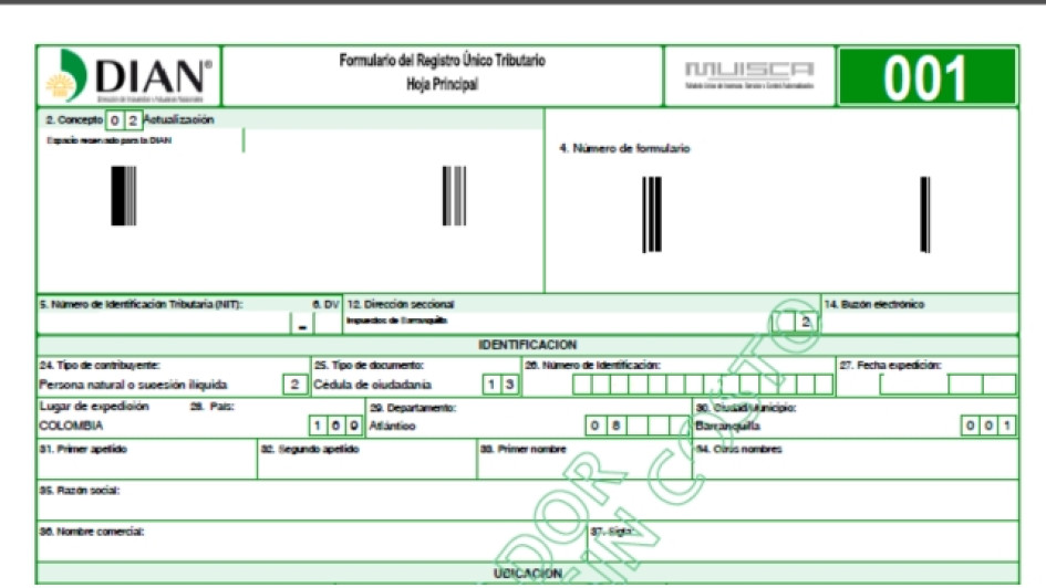 Como-descargar-la-copia-del-RUT_0 Formato del RUT de la DIAN