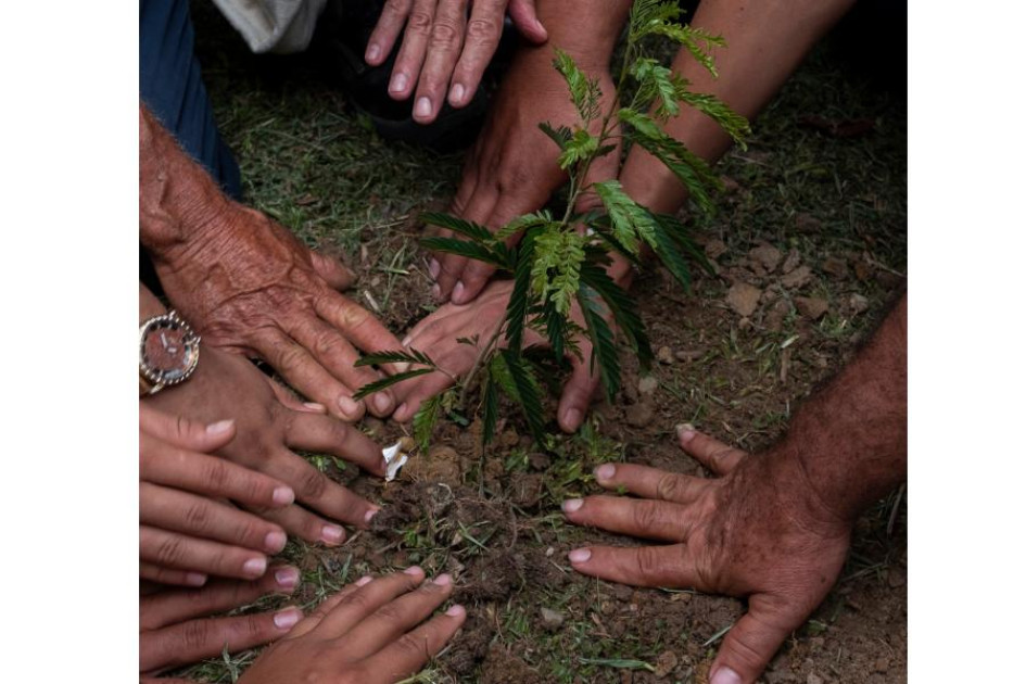 Ministra de Ambiente alerta de posible aumento de deforestación en Caquetá Ministra de Ambiente alerta de posible aumento de deforestación en Caquetá