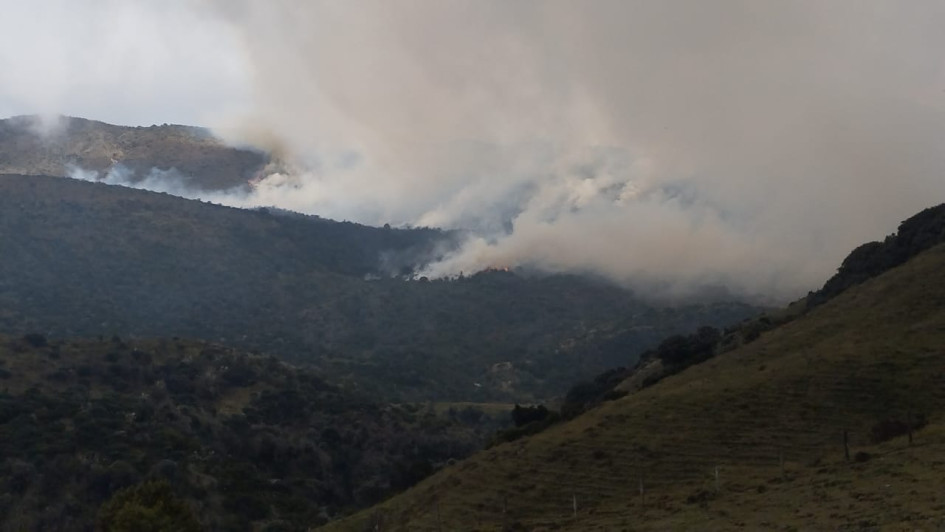Incendio de cobertura vegetal en el PNN Los Nevados Incendio de cobertura vegetal en el PNN Los Nevados