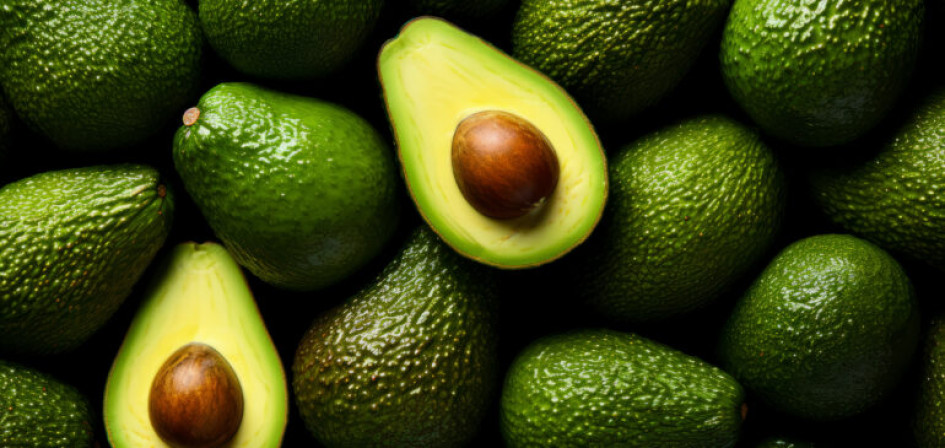 Según Corpohass, las exportaciones de aguacate hass crecieron un 26,3% en el 2023. Según Corpohass, las exportaciones de aguacate hass crecieron un 26,3% en el 2023.