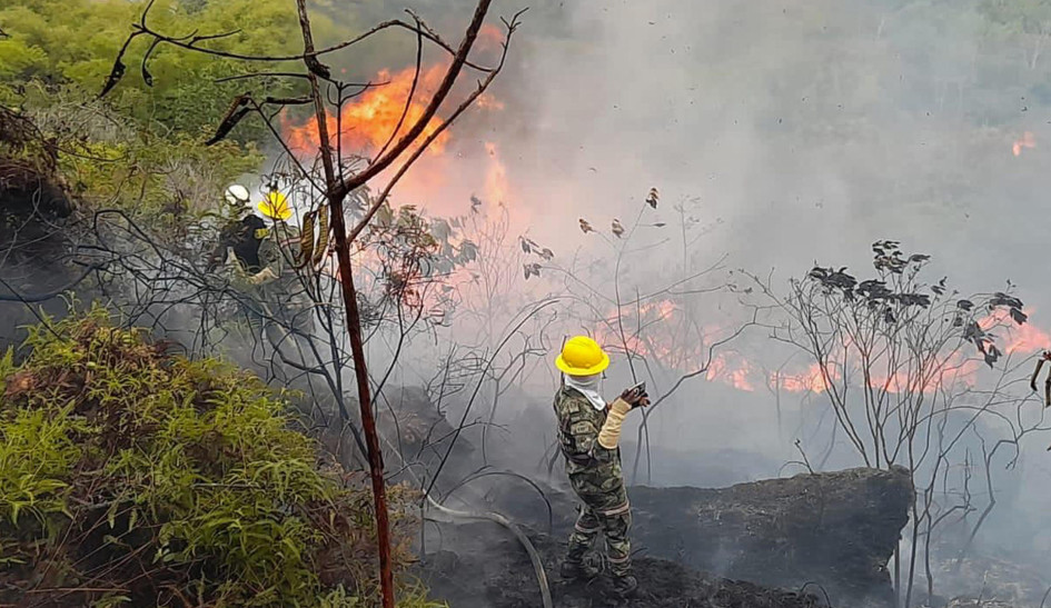 El Ejército Nacional trabajó para apagar un incendio el pasado domingo en Bucaramanga. Cerca de esta ciudad, en el páramo de Berlín, el fuego ha arrasado al menos 300 hectáreas de vegetación. El Ejército Nacional trabajó para apagar un incendio el pasado domingo en Bucaramanga. Cerca de esta ciudad, en el páramo de Berlín, el fuego ha arrasado al menos 300 hectáreas de vegetación.