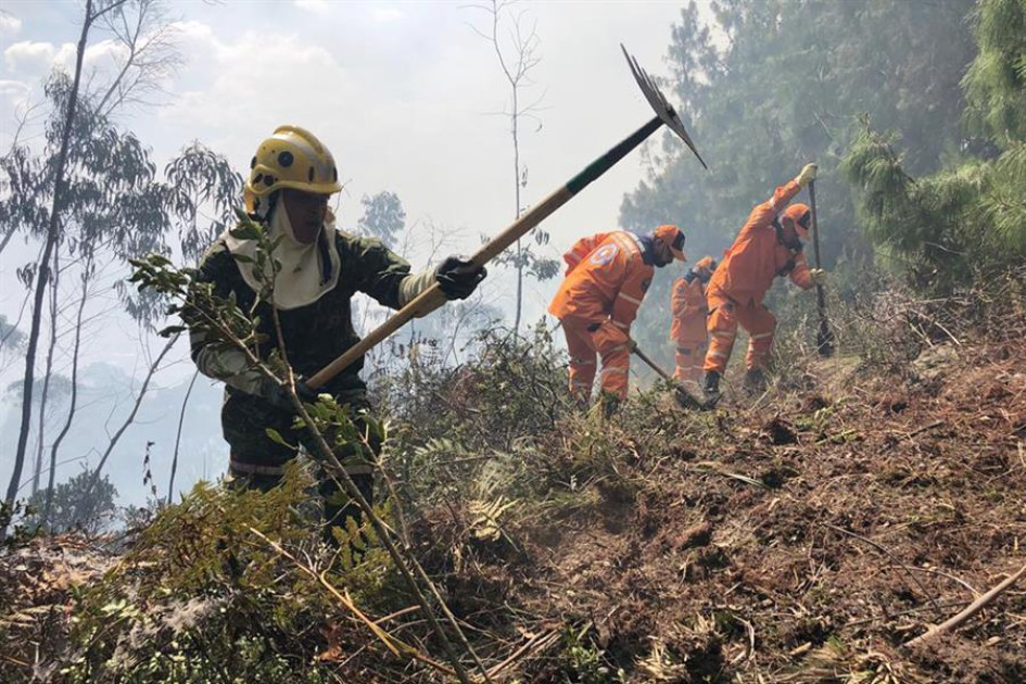 Un grupo de soldados mientras trabajan en la extinción de un incendio forestal en los cerros orientales de Bogotá (Colombia). Un grupo de soldados mientras trabajan en la extinción de un incendio forestal en los cerros orientales de Bogotá (Colombia).