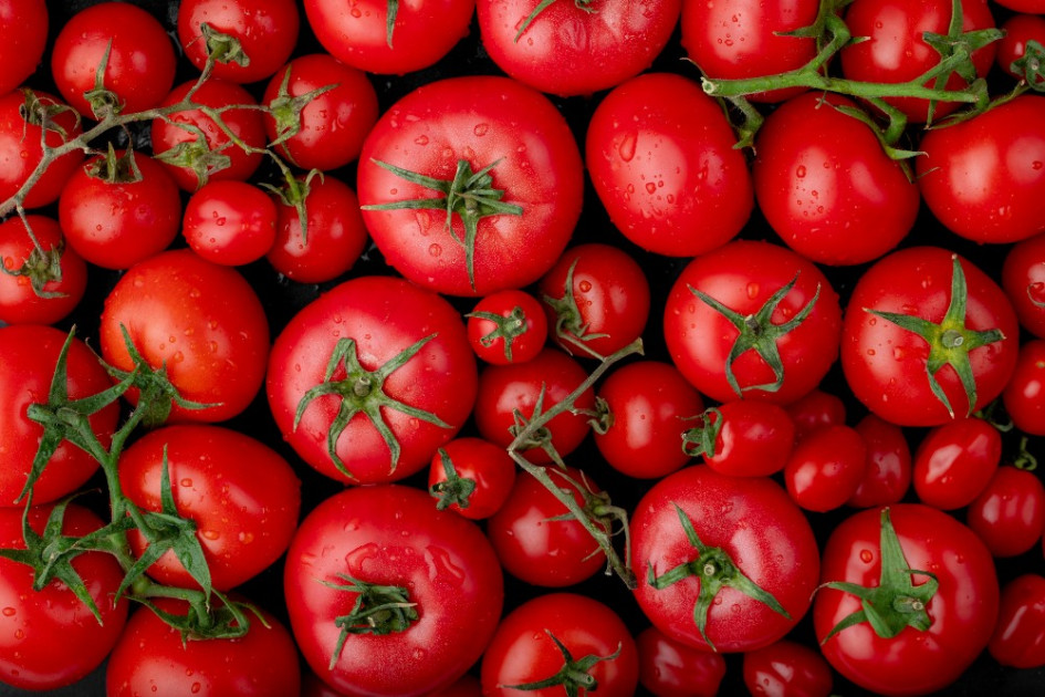 Las verduras mantienen susprecios estables en la Plaza de Mercado de Manizales, según comerciantes. Las verduras mantienen susprecios estables en la Plaza de Mercado de Manizales, según comerciantes.