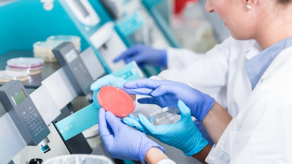 Cuanto-gana-un-bacteriologo-en-colombia Mujer en un laboratorio analizando una muestra.