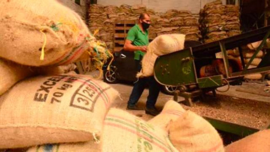 Cuantos-kilos-tiene-una-carga-de-cafe Bultos de café dentro de una cooperativa de café