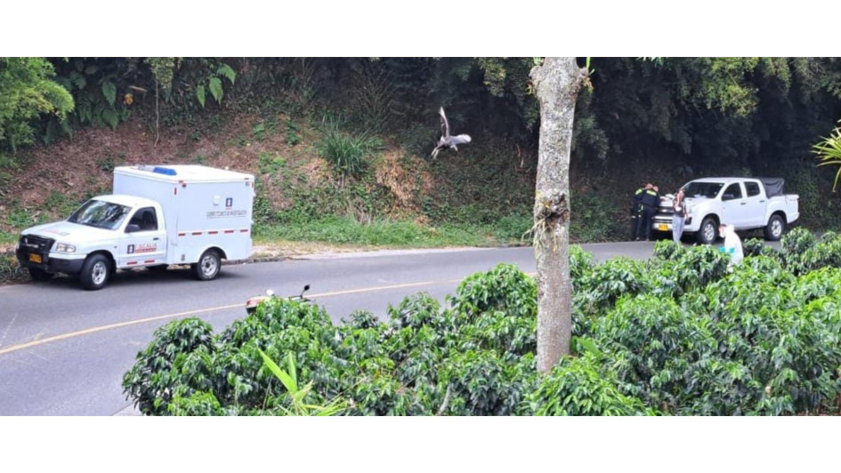 El cadáver fue hallado en la vereda Curazao de Palestina (Caldas). El cadáver fue hallado en la vereda Curazao de Palestina (Caldas).